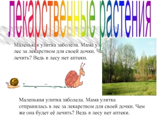 лекарственные растения