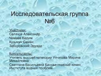 Исследовательская группа №6