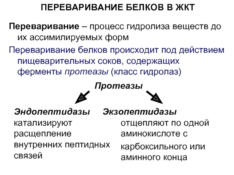 Ассимилировать