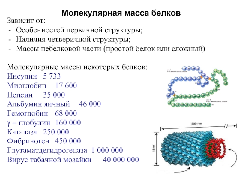 Структура массы