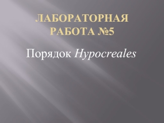 Порядок Hypocreales