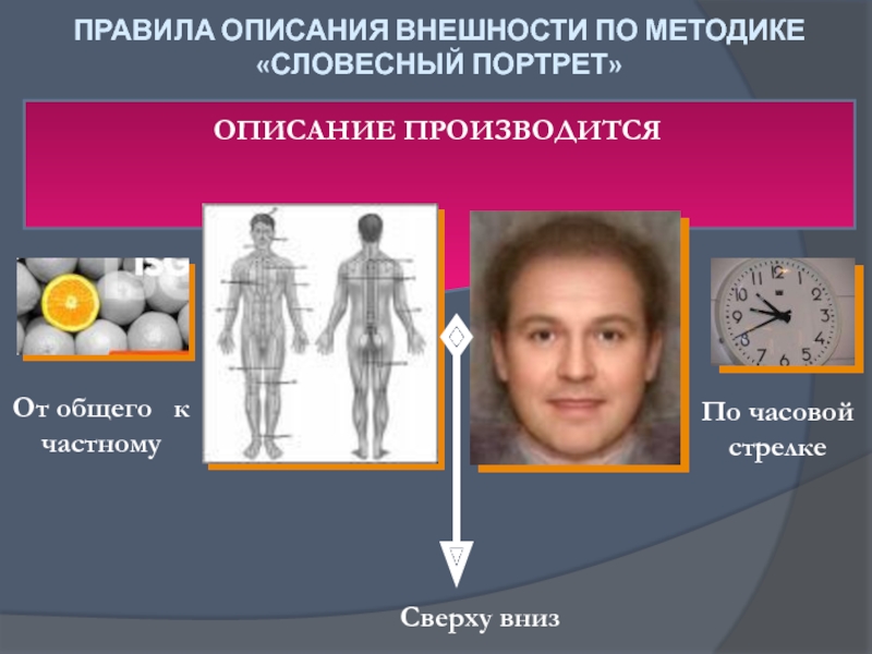 Образец словесного портрета