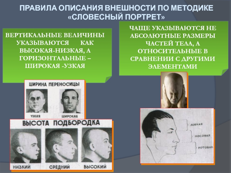 Описание внешности по правилам словесного портрета