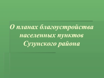 О планах благоустройства населенных пунктов Сузунского района