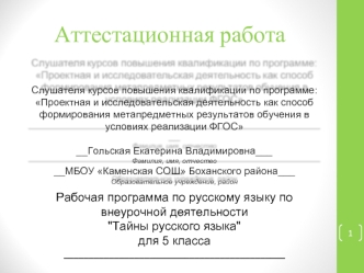 Аттестационная работа. Рабочая программа по русскому языку по внеурочной деятельности 
