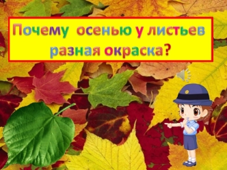 Солнечные лучи освещают листья, траву, цветы, деревья – все, что нас окружает, и повсюду мы видим краски, цветной мир.