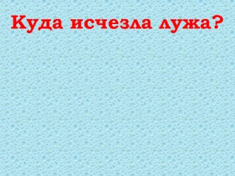 Куда исчезла лужа?