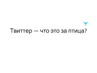 Твиттер — что это за птица?