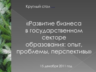 Развитие бизнеса 
в государственном секторе 
образования: опыт, проблемы, перспективы