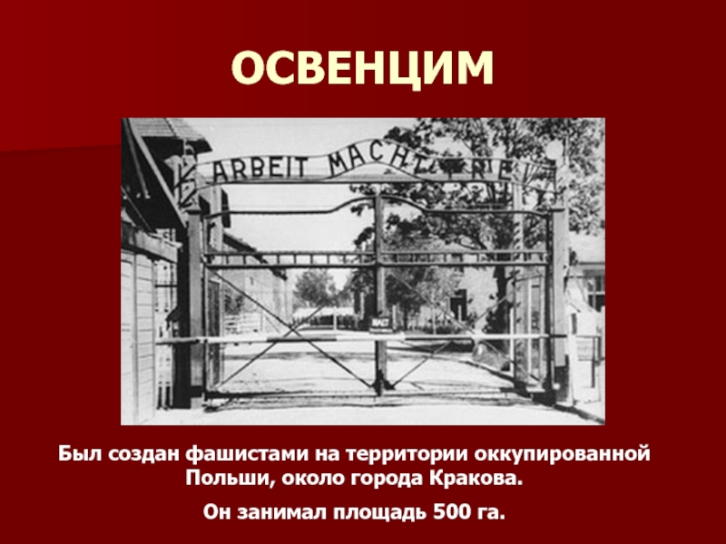 Освобождение освенцима сценарий. Концлагерь Освенцим презентация.