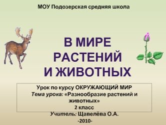 В мире растений 
и животных