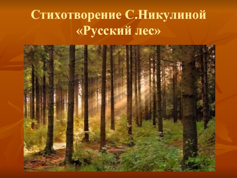 Презентация лес. Презентация на тему лес. Стихотворение о русском лесе. Стих Никулина русский лес. Автор стихотворения русский лес.