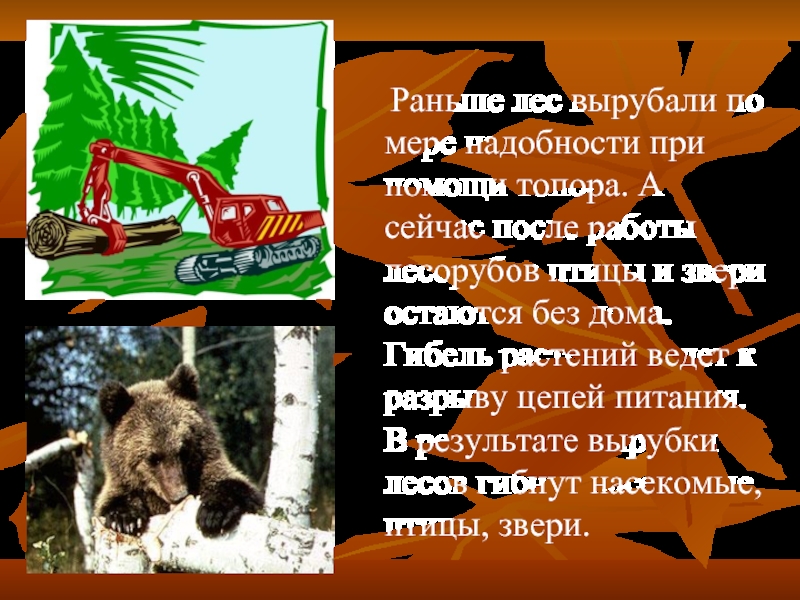 Раньше лес. Мини доклад о работе лесорубе. Рассказ о лесорубе которому до всего было дело.