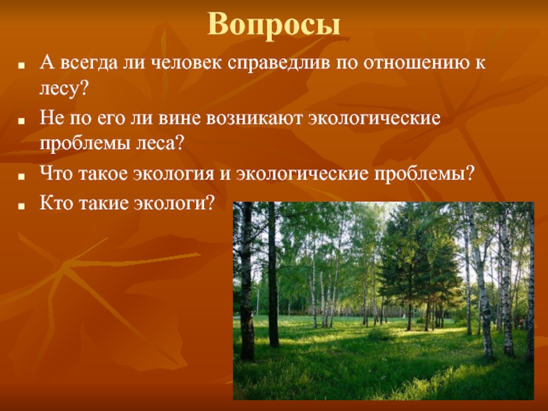 Лес и человек 4 класс окружающий мир презентация школа россии никифорова