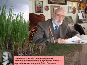 Человек — всего лишь тростник, 
слабейший из творений природы, но он — 
тростник мыслящий. Блез Паскаль.