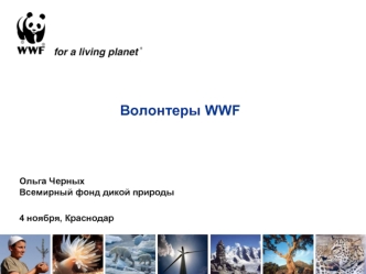 Волонтеры WWF