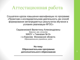 Аттестационная работа. Образовательная программа дополнительного образования