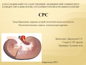 Принципы терапии острой почечной недостаточности. Патогенетические сдвиги, клиническая картина