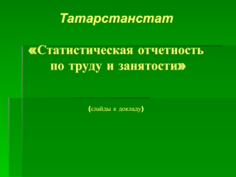 ТатарстанстатСтатистическая отчетность  по труду и занятости (слайды к докладу)