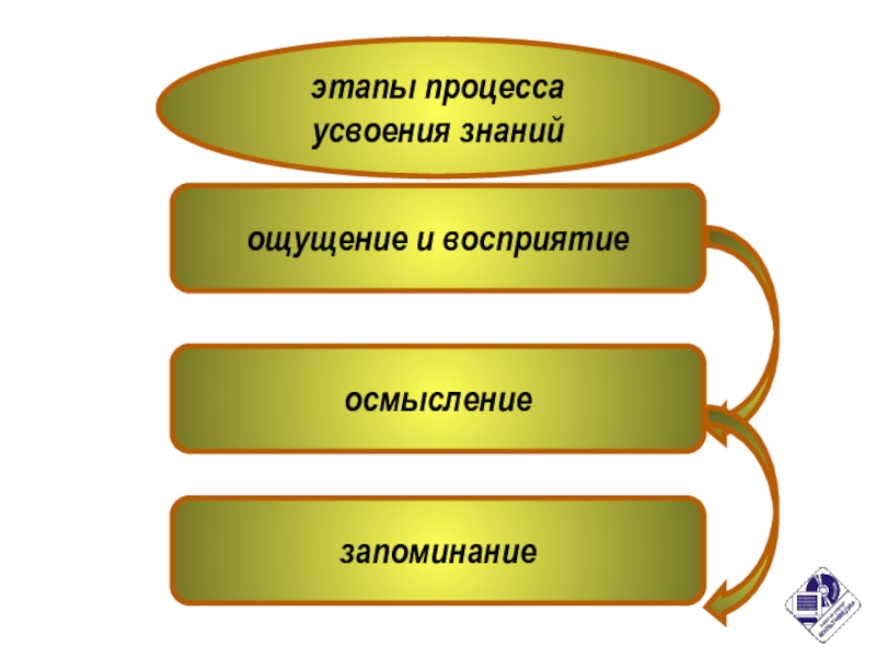 Процесс усвоения знаний