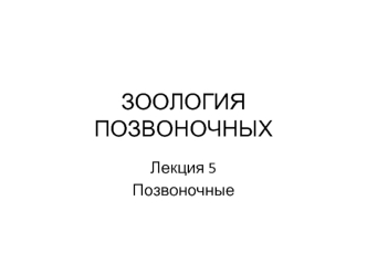 Зоология позвоночных. Раздел челюстноротые. (Лекция 5)