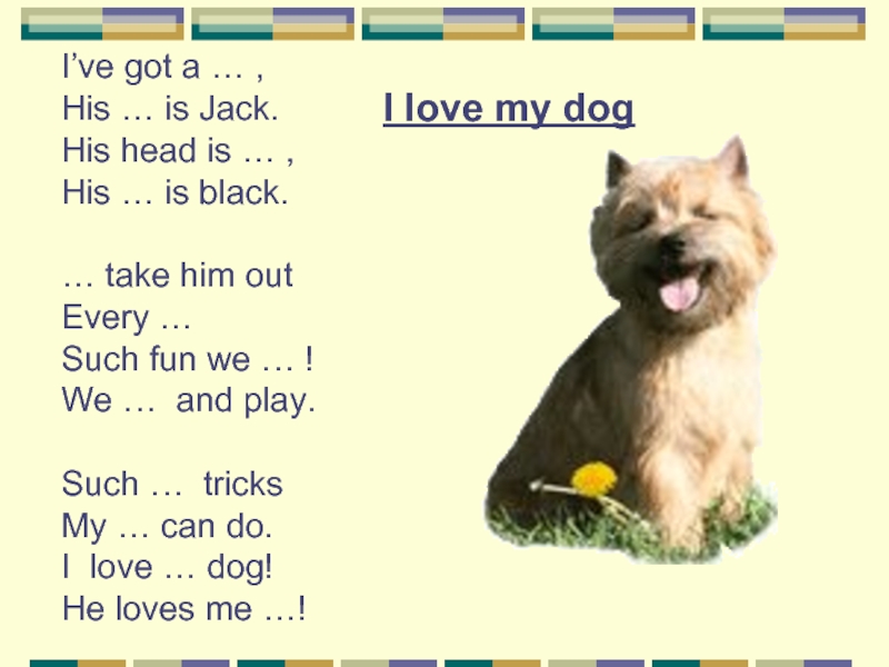 He took his. Стих i have a Dog his name is Jack. Стих i ve got Dog. I Love my Dog стихотворение. I ve got a Dog.