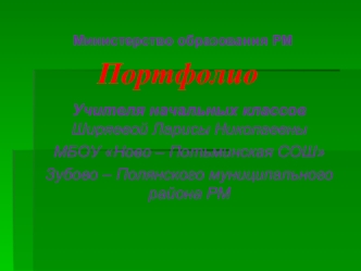 Портфолио