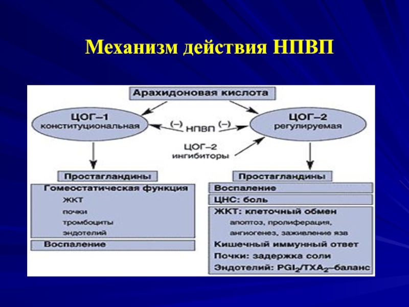 Нпвс схема действия