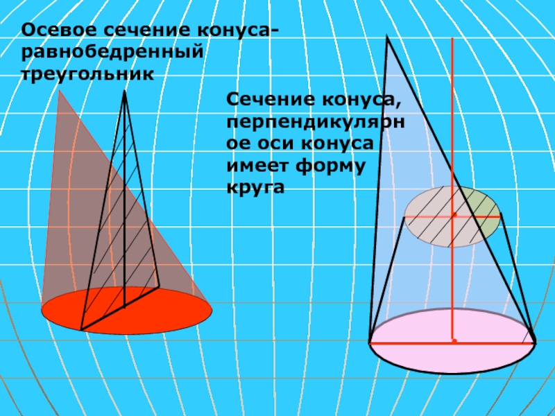 Перпендикулярное сечение конуса. Ось конуса. Сечение конуса равнобедренный треугольник. Осевое сечение конуса равнобедренный треугольник. Осевое сечение конуса имеет форму.