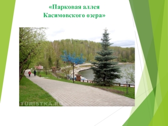 Парковая аллея Касимовского озера