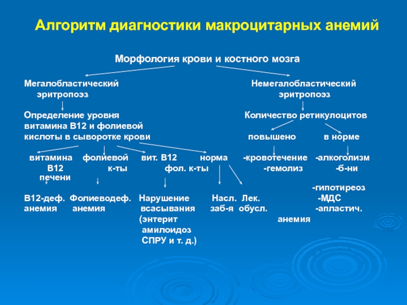 Клиническая картина приобретенной апластической анемии складывается из синдромов кроме