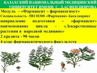 Модуль  – Фармацевт – фармакогност
Cпециальность -5В110300 Фармация бакалавриат
направление подготовки – фармацевт наименование цикла - Лекарственные растения в  народной медицине
2 кредита - 90 часов
4 курс фармацевтического факультета