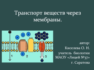 Транспорт веществ через мембраны.