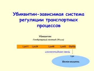 Убиквитин-зависимая система регуляции транспортных процессов. Везикулярный транспорт (лекция 5)