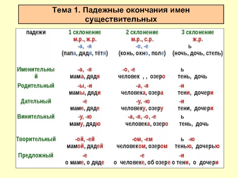 Заполнить схему своими примерами 1 склонение дательный падеж