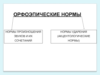 Орфоэпические нормы. Нормы произношения. Нормы ударения звуков и их сочетаний (акцентологические нормы)