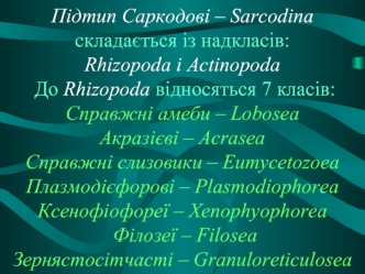 Підтип саркодові