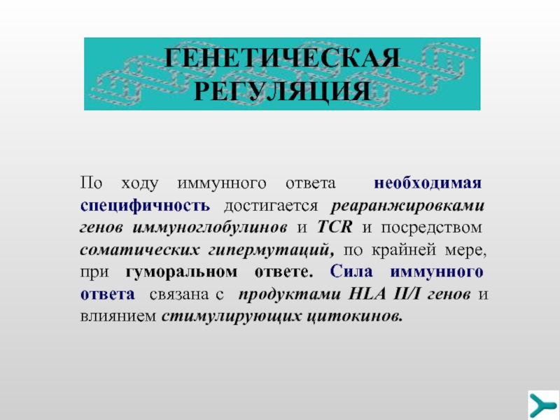 Регуляция иммунных процессов. Генетическая регуляция иммунного ответа. Механизмы регуляции иммунного ответа. Генетическая регуляция развития.