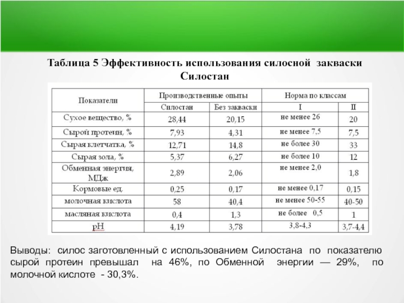 Таблица 5 Эффективность использования силосной закваски Силостан Выводы: силос заготовленный с использованием Силостана по показателю сырой протеин