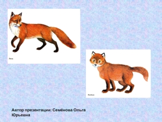 Автор презентации: Семёнова Ольга Юрьевна