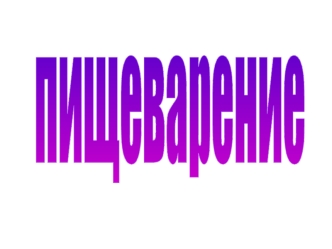 пищеварение