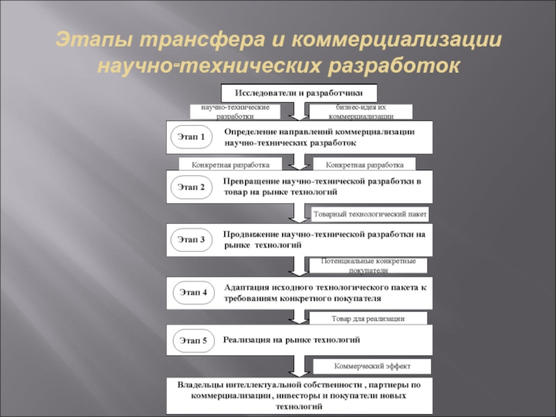 Этапы коммерциализации проекта