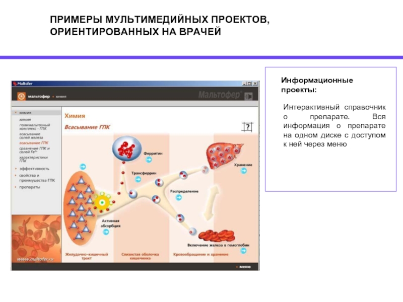 Мультимедийный проект что это