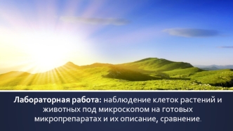 Лабораторная работа: наблюдение клеток растений и животных под микроскопом на готовых микропрепаратах и их описание, сравнение.