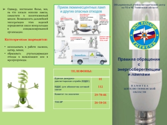 Правила обращения 
с   энергосберегающими лампами