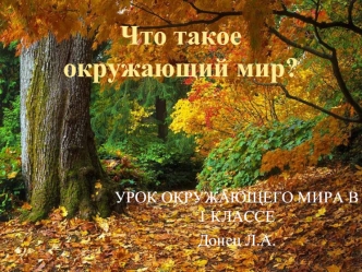 Что такое окружающий мир?