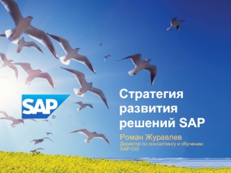 Стратегия развития решений SAP