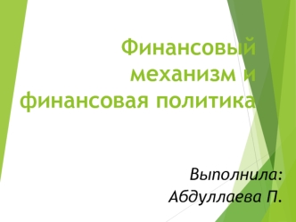 Финансовый механизм и финансовая политика