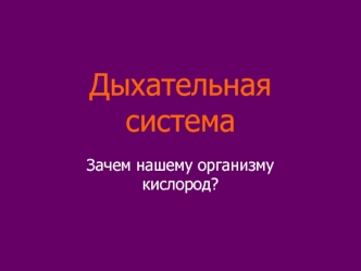 Дыхательная система