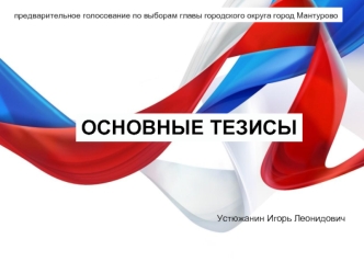 Предварительное голосование по выборам главы городского округа город Мантурово